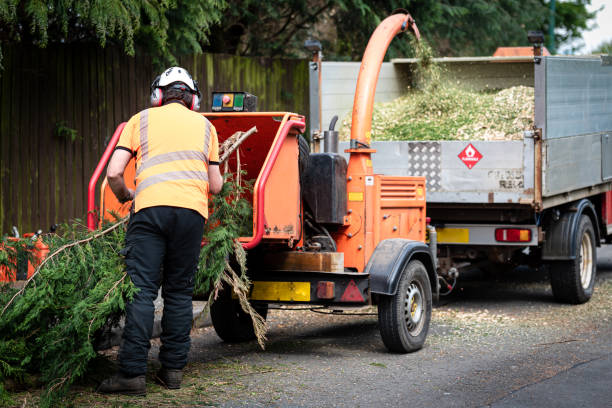Best Lawn Pest Prevention  in Colby, WI