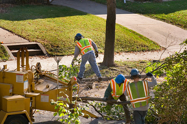  Colby, WI Tree Services Pros